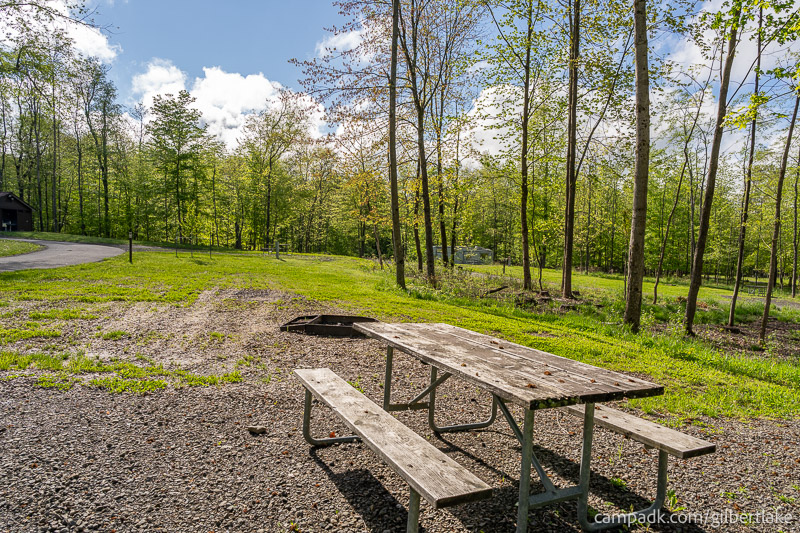 Campsite Photo of Site 81 at Gilbert Lake State Park, New York - Cross Site View