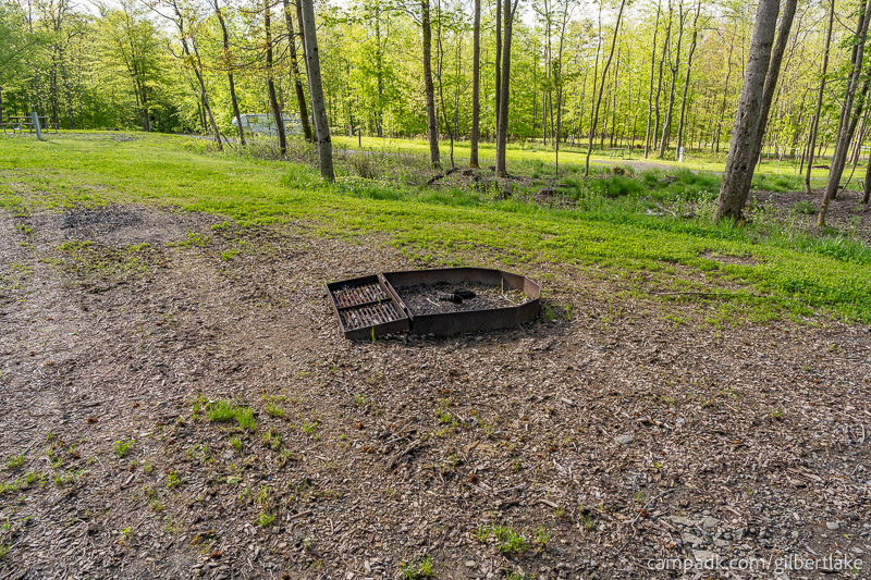 Campsite Photo of Site 81 at Gilbert Lake State Park, New York - Fireplace View