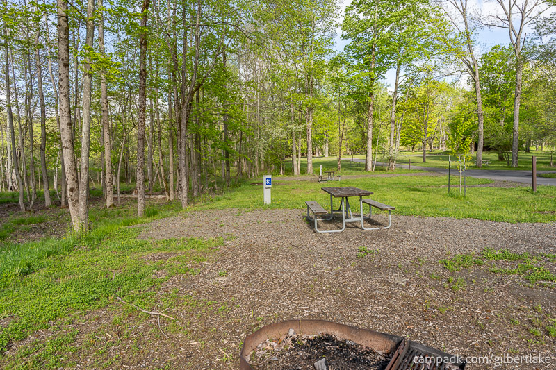 Campsite Photo of Site 81 at Gilbert Lake State Park, New York - Cross Site View