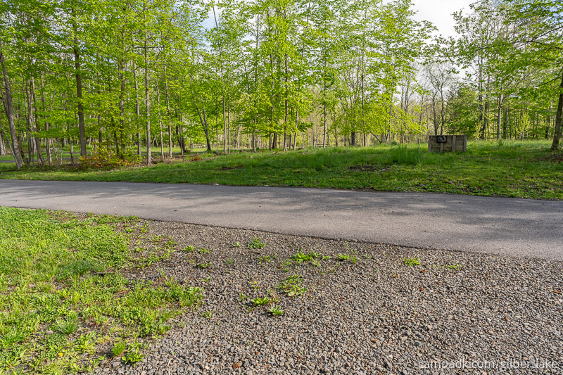 Campsite Photo of Site 81 at Gilbert Lake State Park, New York - Looking Back Towards Road