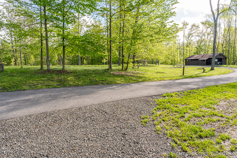 Campsite Photo of Site 81 at Gilbert Lake State Park, New York - Looking Back Towards Road