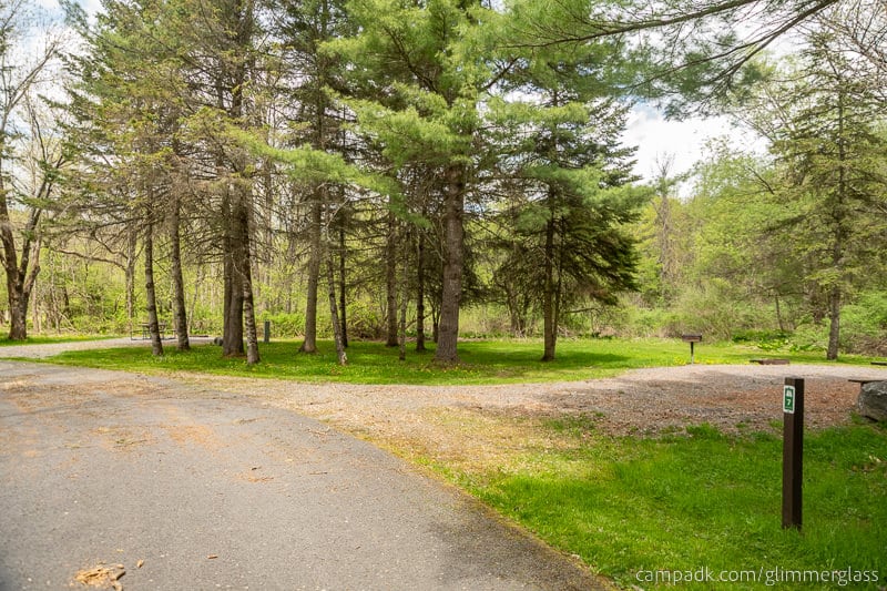 Campsite Photo of Site 7 at Glimmerglass State Park, New York - View Down Road from Campsite