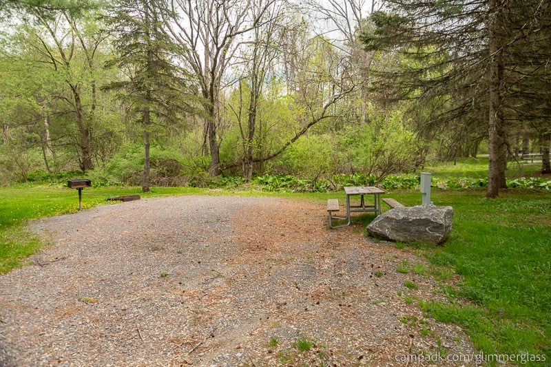 Campsite Photo of Site 7 at Glimmerglass State Park, New York - Looking at Site from Part Way In