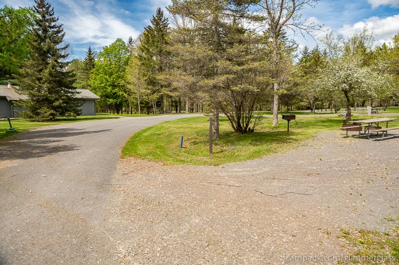 Campsite Photo of Site 35 at Glimmerglass State Park, New York - View Down Road from Campsite