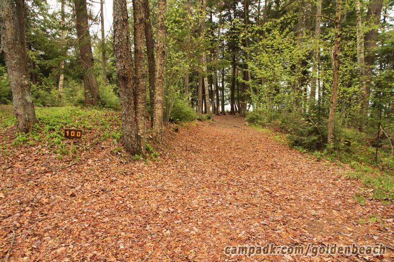 Campsite Photo of Site 100 at Golden Beach Campground, New York - Looking at Site from Road Sign Visible