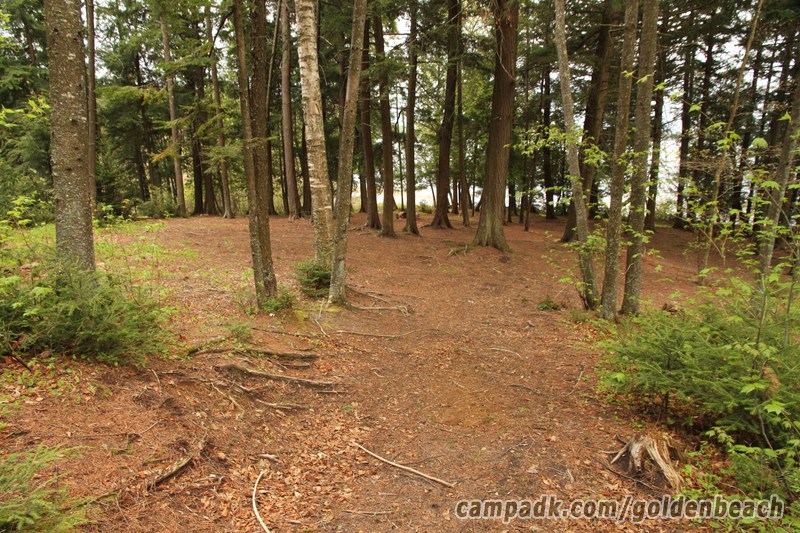 Campsite Photo of Site 100 at Golden Beach Campground, New York - Looking at Site from Part Way In