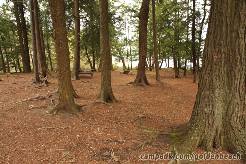 Campsite Photo of Site 100 at Golden Beach Campground, New York - Looking at Site from Part Way In