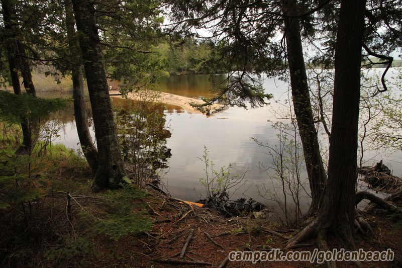 Campsite Photo of Site 100 at Golden Beach Campground, New York - Shoreline
