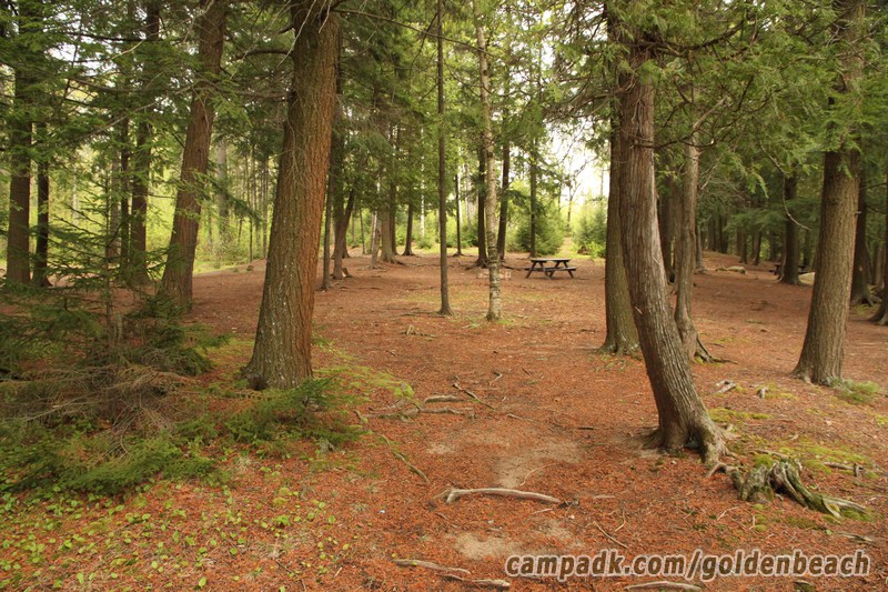 Campsite Photo of Site 100 at Golden Beach Campground, New York - Returning Along Pathway from Water