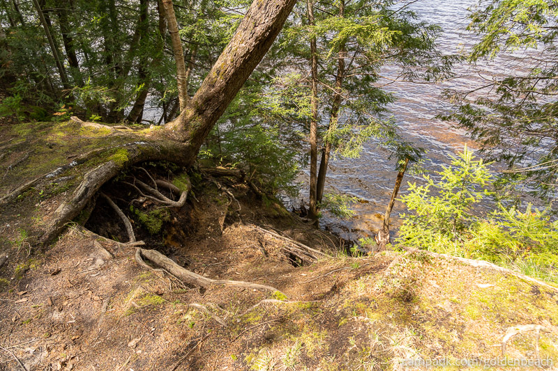 Campsite Photo of Site 200 at Golden Beach Campground, New York - Shoreline