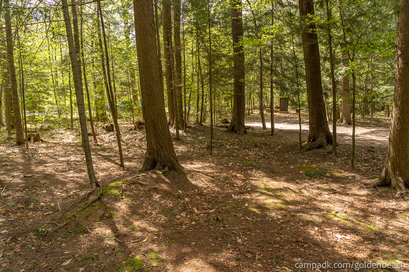 Campsite Photo of Site 200 at Golden Beach Campground, New York - Looking Back Towards Road