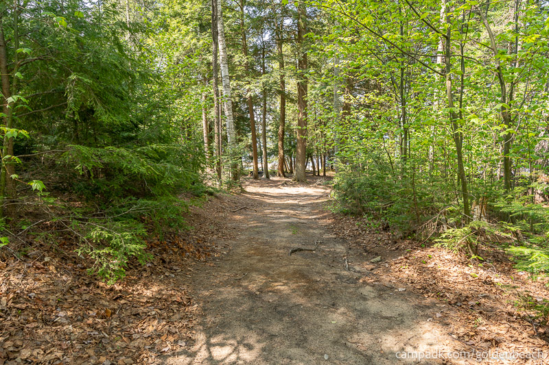 Campsite Photo of Site 100 at Golden Beach Campground, New York - Looking at Site from Part Way In