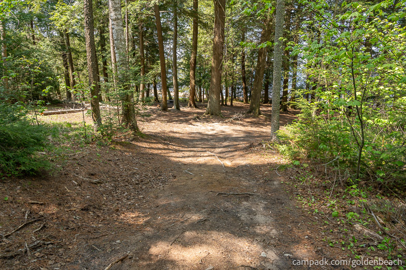 Campsite Photo of Site 100 at Golden Beach Campground, New York - Looking at Site from Part Way In