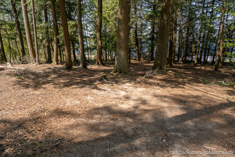 Campsite Photo of Site 100 at Golden Beach Campground, New York - Looking at Site from Part Way In