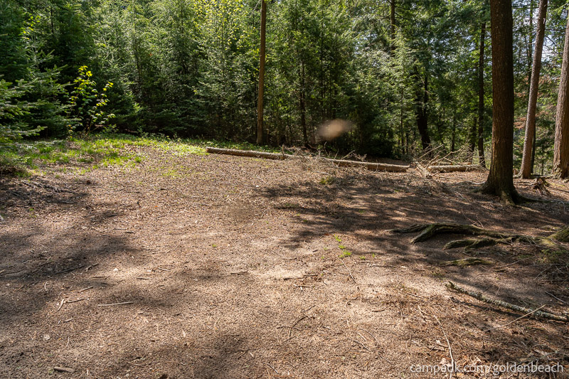 Campsite Photo of Site 100 at Golden Beach Campground, New York - Cross Site View