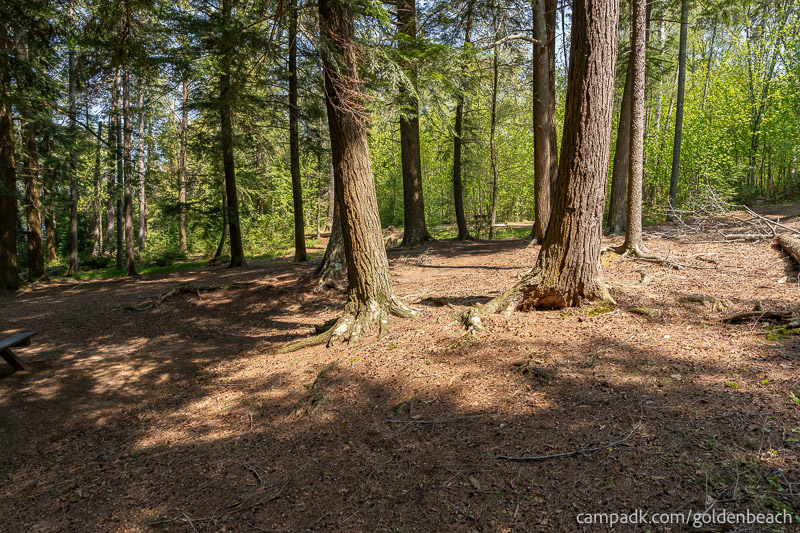 Campsite Photo of Site 100 at Golden Beach Campground, New York - Cross Site View