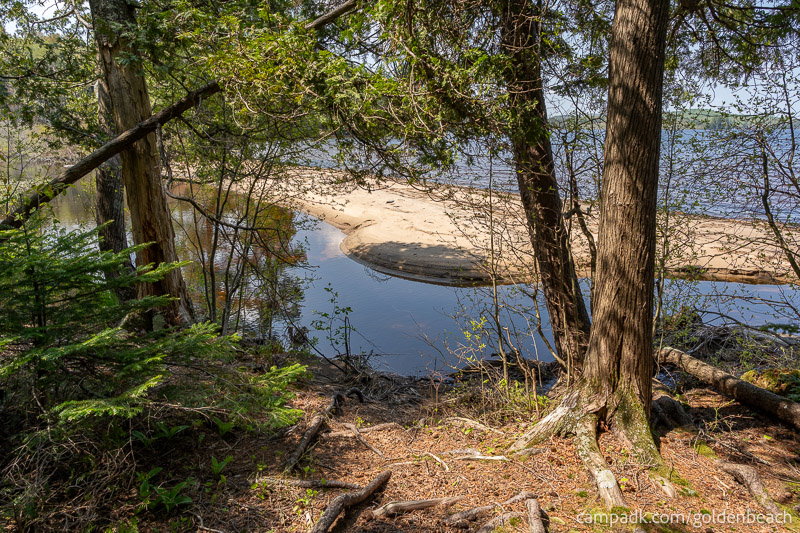 Campsite Photo of Site 100 at Golden Beach Campground, New York - Pathway Down to Water