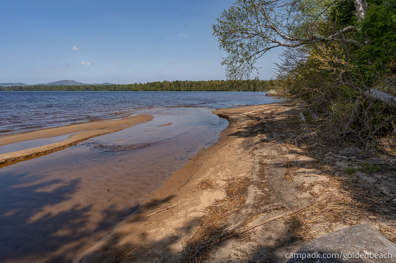 Campsite Photo of Site 100 at Golden Beach Campground, New York - Shoreline