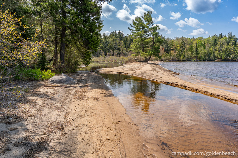 Campsite Photo of Site 100 at Golden Beach Campground, New York - Shoreline