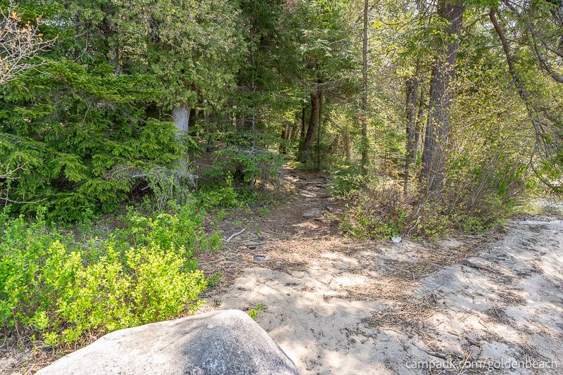 Campsite Photo of Site 100 at Golden Beach Campground, New York - Returning Along Pathway from Water