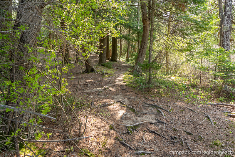 Campsite Photo of Site 100 at Golden Beach Campground, New York - Returning Along Pathway from Water