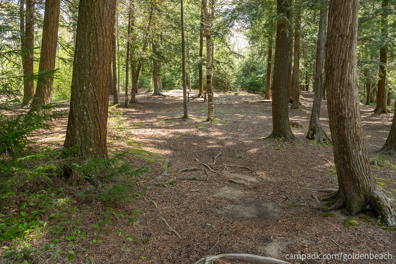 Campsite Photo of Site 100 at Golden Beach Campground, New York - Returning Along Pathway from Water