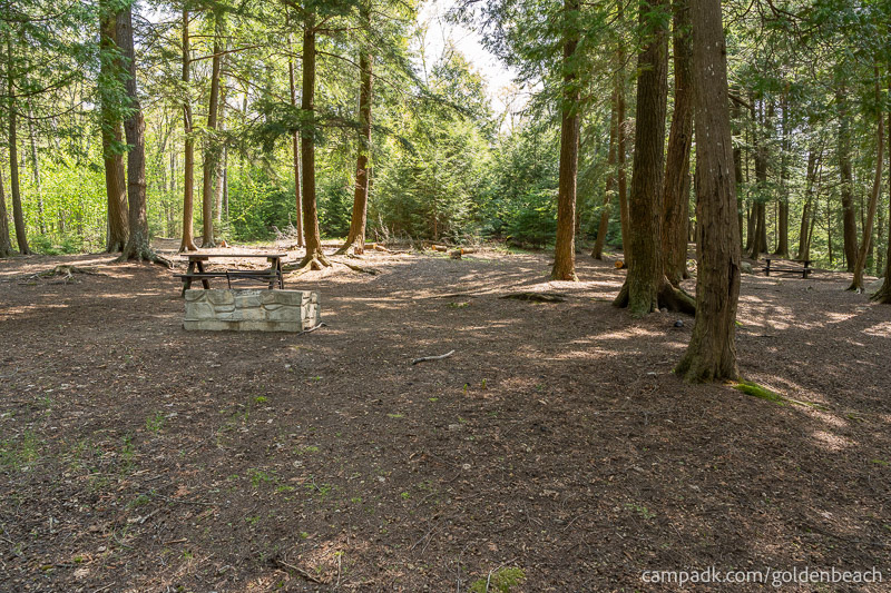 Campsite Photo of Site 100 at Golden Beach Campground, New York - Returning Along Pathway from Water