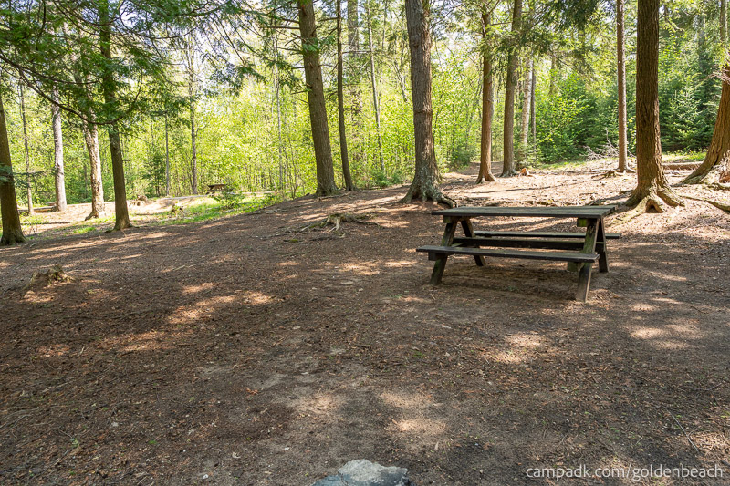 Campsite Photo of Site 100 at Golden Beach Campground, New York - Looking Back Towards Road