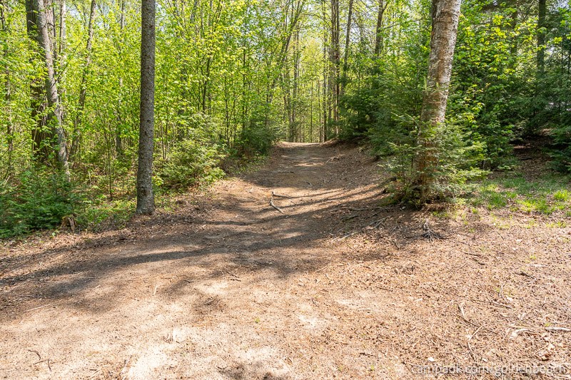 Campsite Photo of Site 100 at Golden Beach Campground, New York - Looking Back Towards Road