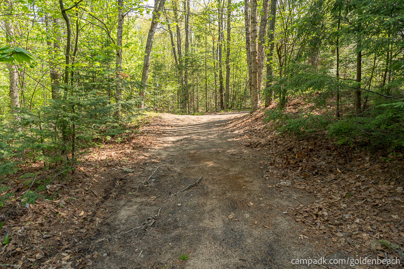 Campsite Photo of Site 100 at Golden Beach Campground, New York - Looking Back Towards Road