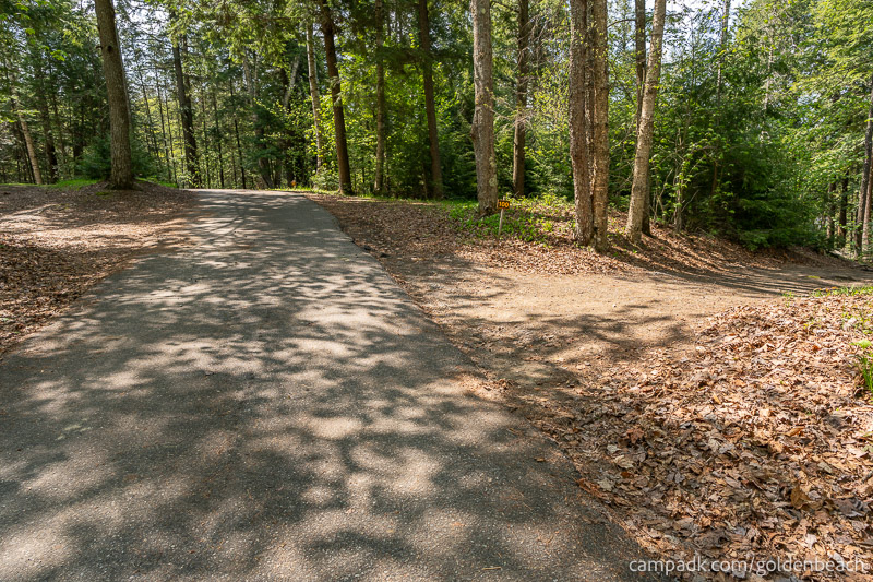Campsite Photo of Site 100 at Golden Beach Campground, New York - View Down Road from Campsite