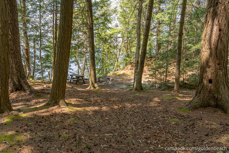 Campsite Photo of Site 200 at Golden Beach Campground, New York - Looking at Site from Part Way In