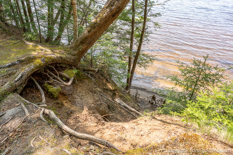 Campsite Photo of Site 200 at Golden Beach Campground, New York - Pathway Down to Water