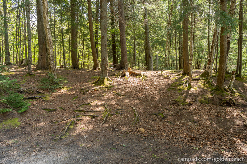 Campsite Photo of Site 200 at Golden Beach Campground, New York - Looking Back Towards Road
