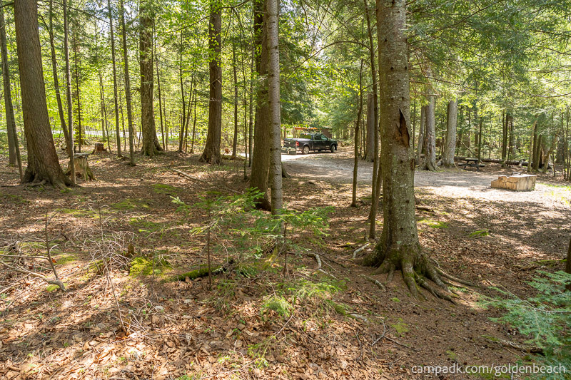 Campsite Photo of Site 200 at Golden Beach Campground, New York - Looking Back Towards Road