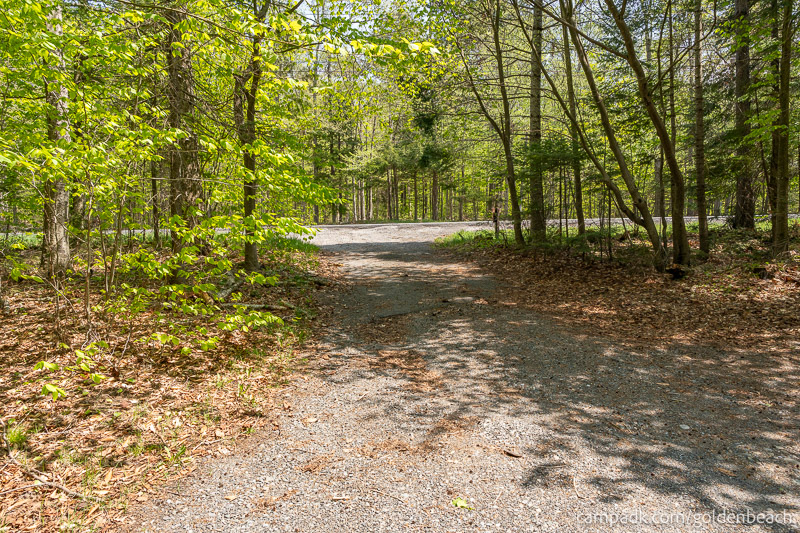 Campsite Photo of Site 200 at Golden Beach Campground, New York - Looking Back Towards Road