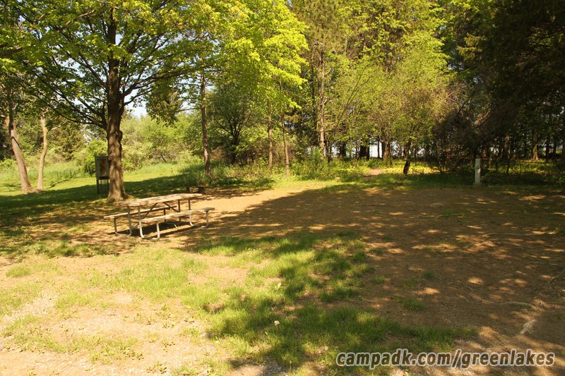 Campsite Photo of Site 116 at Green Lakes State Park, New York - Looking at Site from Road