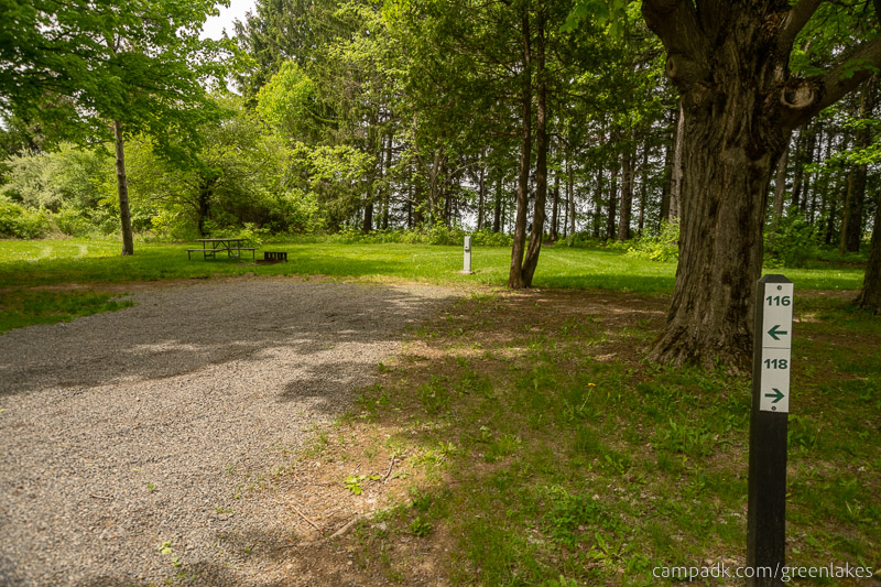 Campsite Photo of Site 116 at Green Lakes State Park, New York - Looking at Site from Road Sign Visible