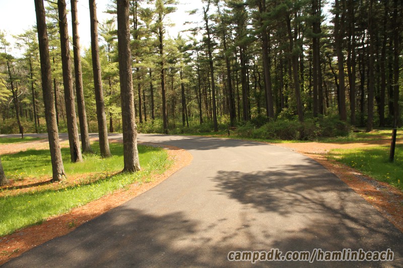 Campsite Photo of Site 216 at Hamlin Beach State Park, New York - View Down Road from Campsite