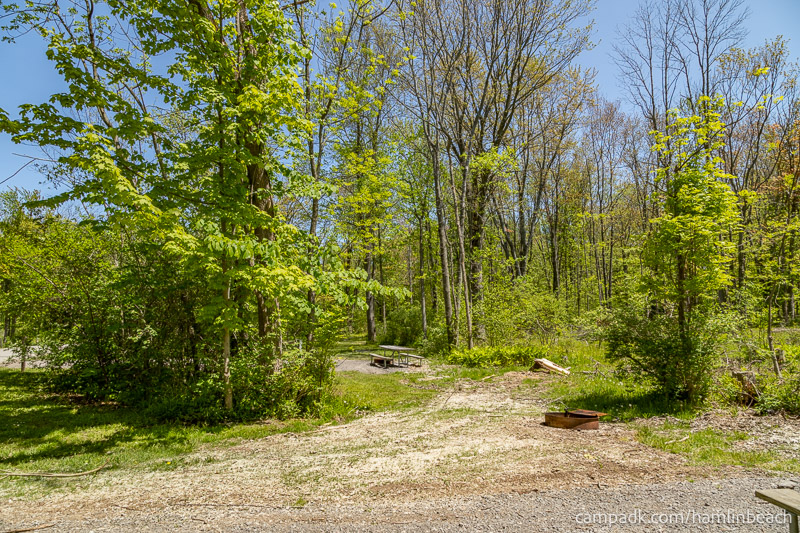 Campsite Photo of Site 4 at Hamlin Beach State Park, New York - Cross Site View