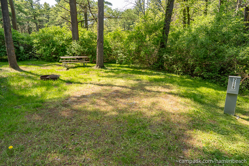 Campsite Photo of Site 216 at Hamlin Beach State Park, New York - Looking at Site from Part Way In