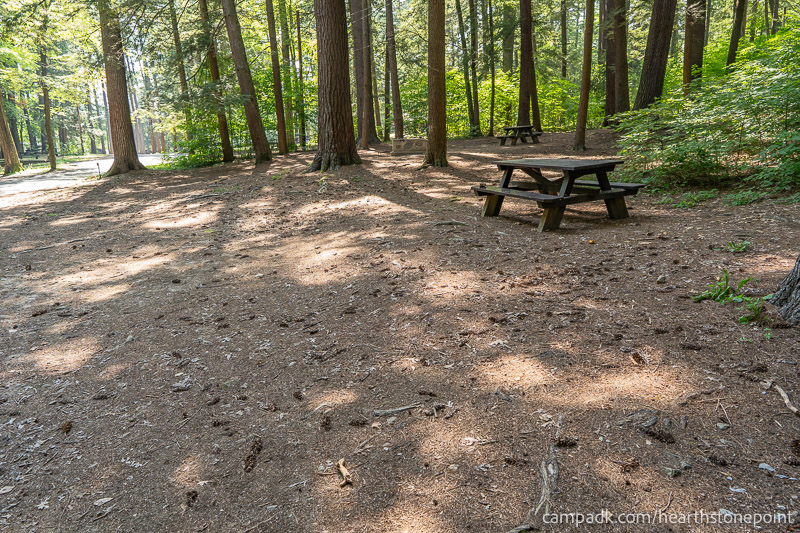 Campsite Photo of Site 44 at Hearthstone Point Campground, New York - Cross Site View