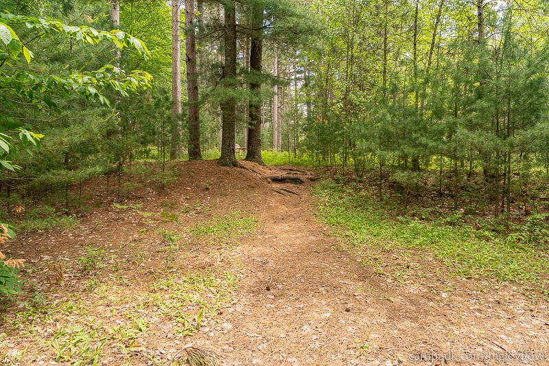 Campsite Photo of Site 34 at Higley Flow State Park, New York - Returning Along Pathway from Water