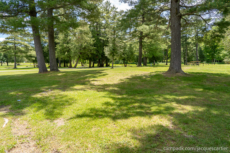 Campsite Photo of Site 45 at Jacques Cartier State Park, New York - Looking Back Towards Road