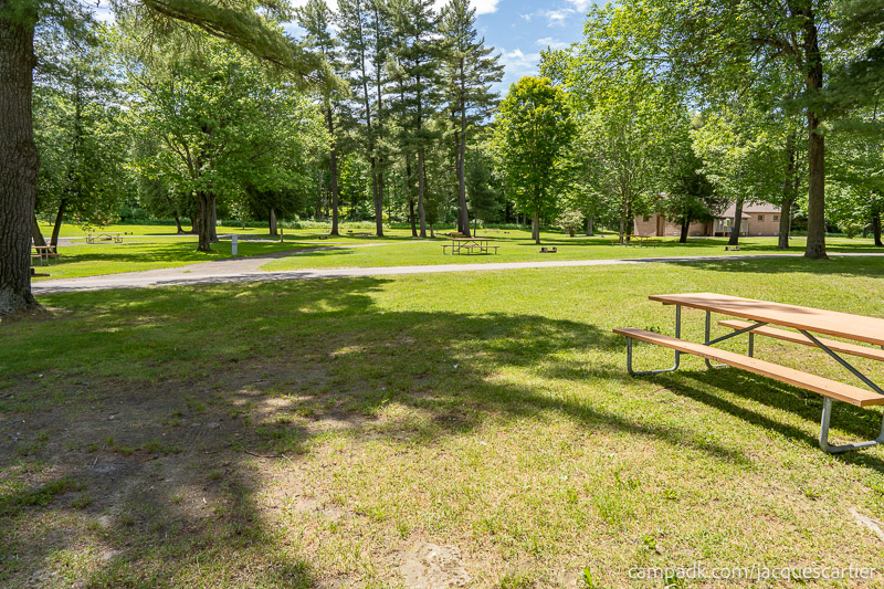 Campsite Photo of Site 45 at Jacques Cartier State Park, New York - Looking Back Towards Road