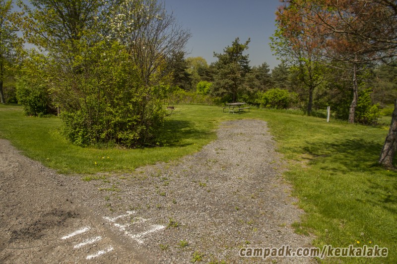 Campsite Photo of Site 134 at Keuka Lake State Park, New York - Looking at Site from Road Sign Visible