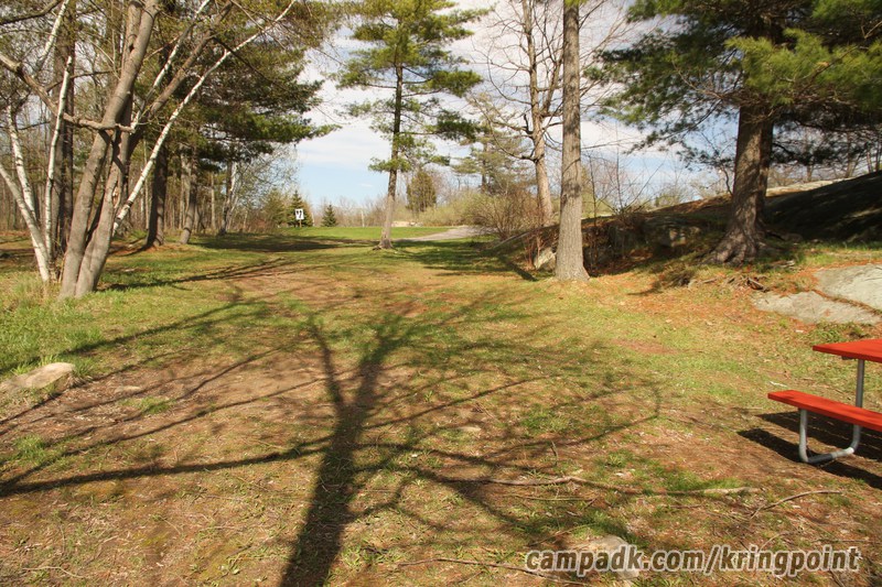 Campsite Photo of Site 2 at Kring Point State Park, New York - Looking Back Towards Road