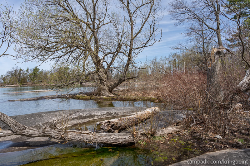 Campsite Photo of Site 2 at Kring Point State Park, New York - View from Shoreline
