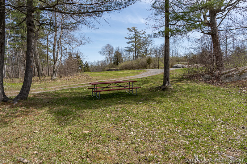 Campsite Photo of Site 2 at Kring Point State Park, New York - Looking Back Towards Road