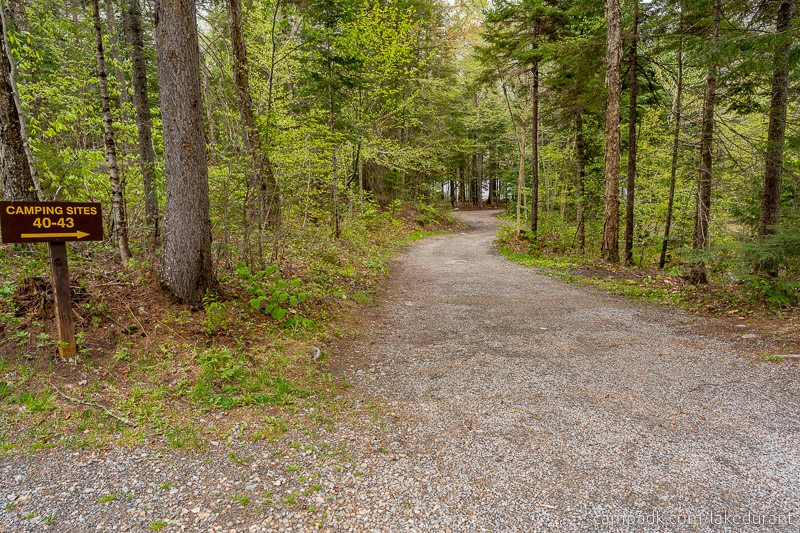 Campsite Photo of Site 42 at Lake Durant Campground, New York - Looking at Site from Road Sign Visible